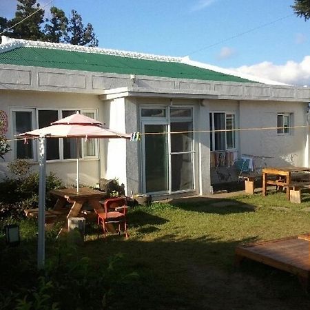 Sheelddi Pension Σεογκουίπο Εξωτερικό φωτογραφία